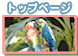 �g�b�v�y�[�W