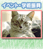 �C�x���g�̂��m�点