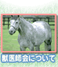 �b��t��ɂ���