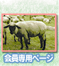 �����p�y�[�W