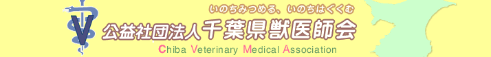 ���S