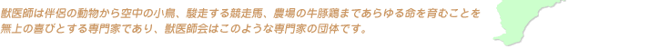 ���S