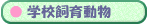 �w�Z����^��