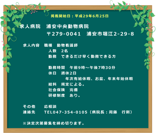 �a�@�X�^�b�t��W�@�Y�����������a�@